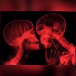 Meet your Posher, Lucy